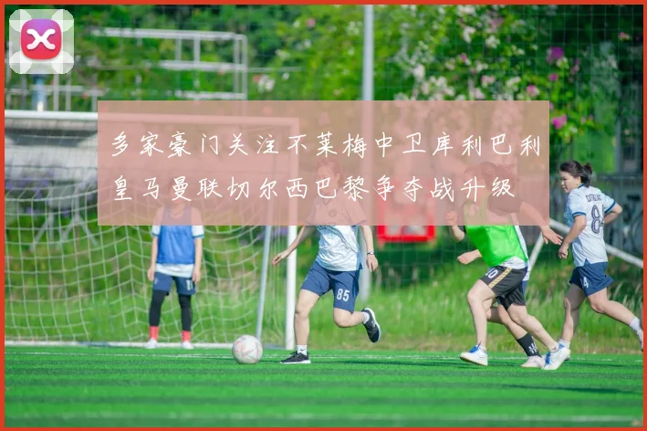 多家豪门关注不莱梅中卫库利巴利皇马曼联切尔西巴黎争夺战升级